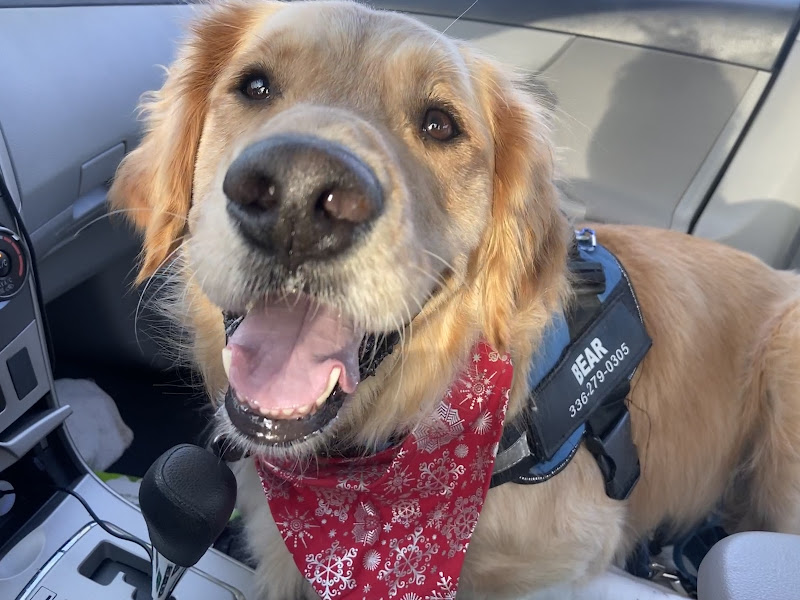 Carolina Forest Veterinary Hospital