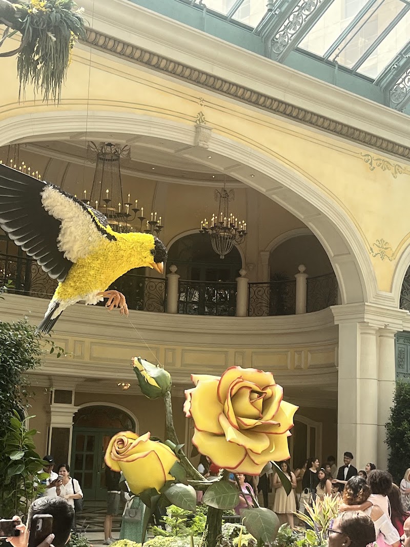 Bellagio Patisserie - Chocolate shop in 3600 S Las Vegas Blvd
