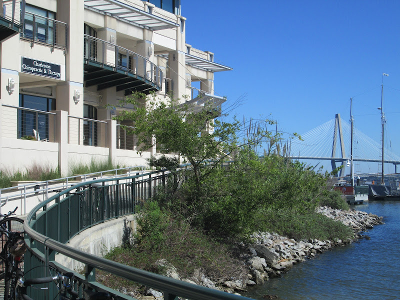 Charleston Chiropractic And Therapy - Chiropractor in 360 Concord St #104