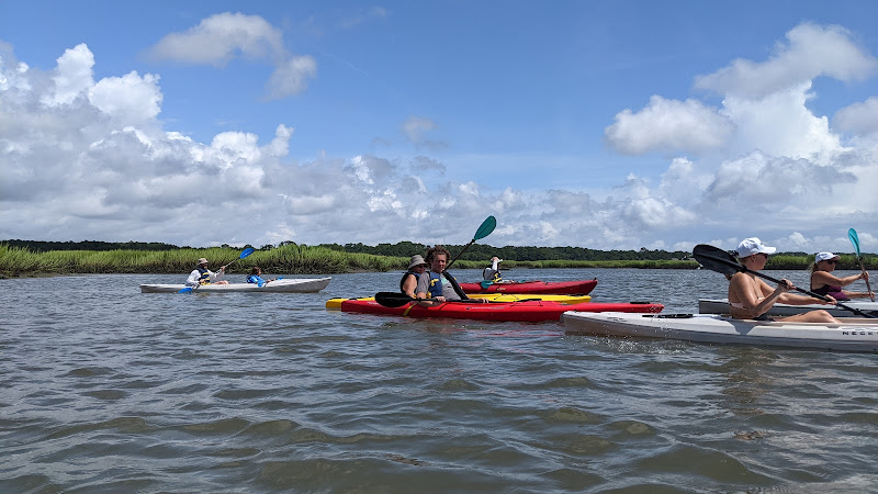 Saltmarsh Paddle Tours