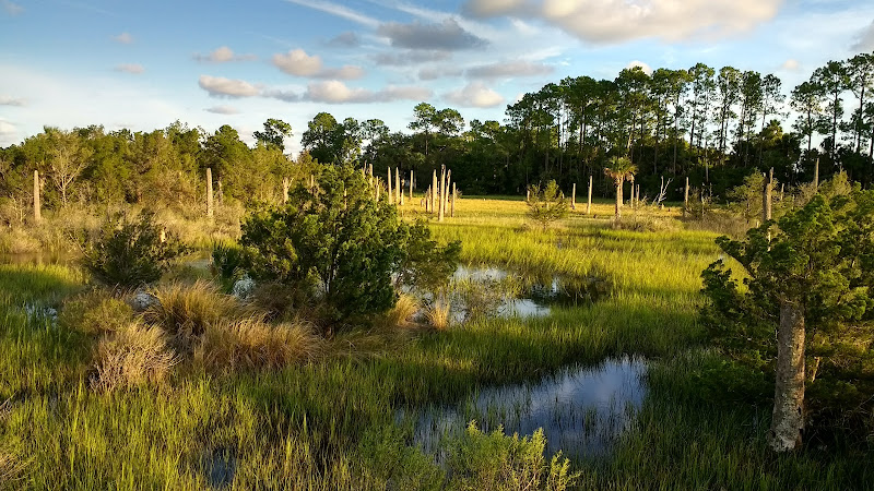 Castaway Island Preserve