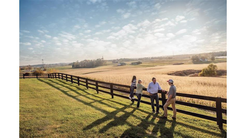 Farm Bureau Insurance