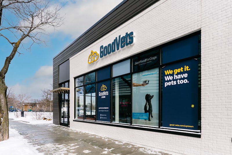 GoodVets Uptown (Chicago) - Veterinarian in Chicago