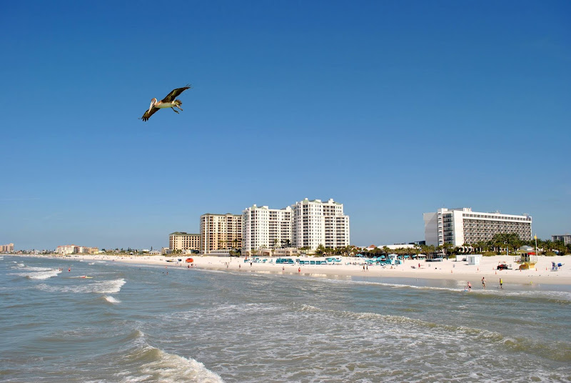 Sand Key Realty - Real estate agency in Clearwater Beach