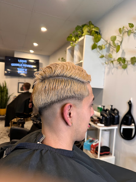 David_barbercuts 🦈🐋🐙 - Barber shop in Ignacio Zaragoza