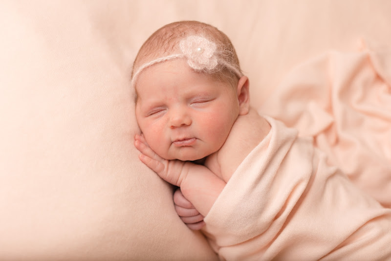 Kami Shaw Photography
