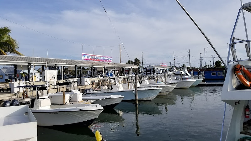 City Marina At Garrison Bight - Marina in Key West