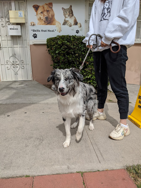 Shatto Veterinary Center