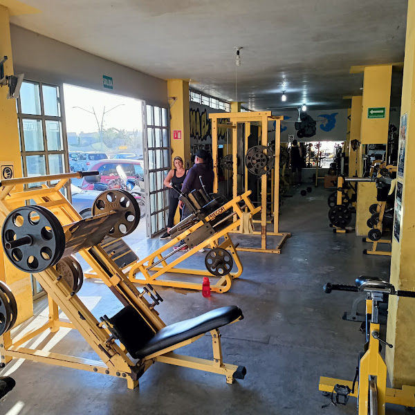 NEW BODY GYM - Gym in Col del Sol