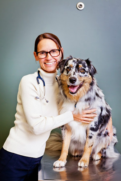 Veterinary Specialty Hospital - San Diego