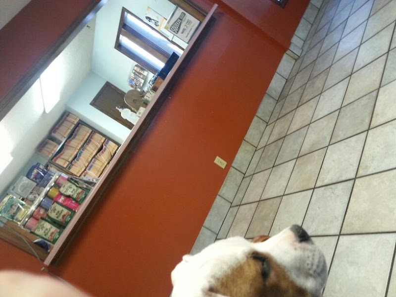 Pine Forest Animal Clinic