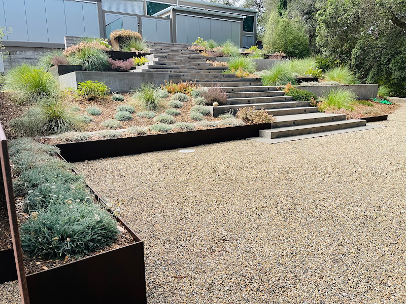Ridge Landscape