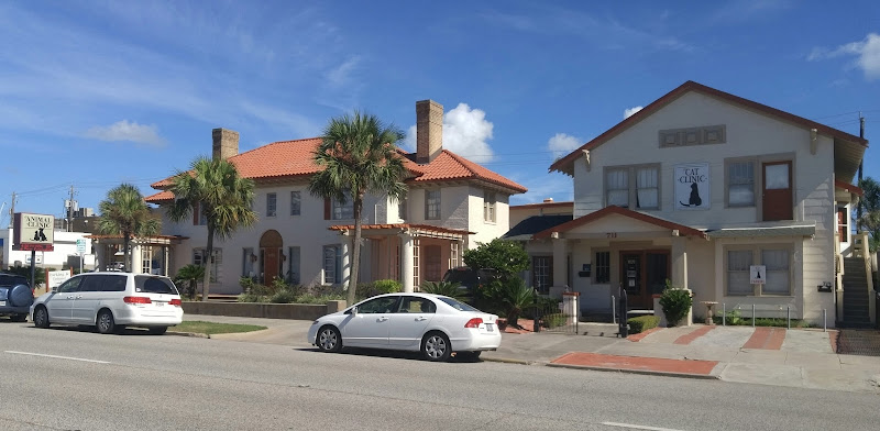 Fistein Lea DVM - Veterinarian in Galveston