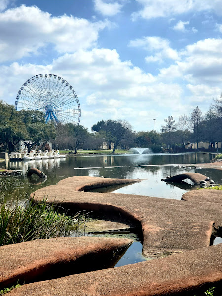 Texas Discovery Gardens at Fair Park - Tourist attraction in Dallas