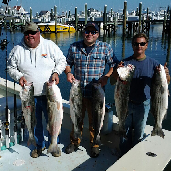 Get Sum Charters - Fishing charter in Ocean City