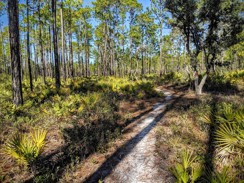 Point Washington State Forest - Nature preserve in Santa Rosa Beach