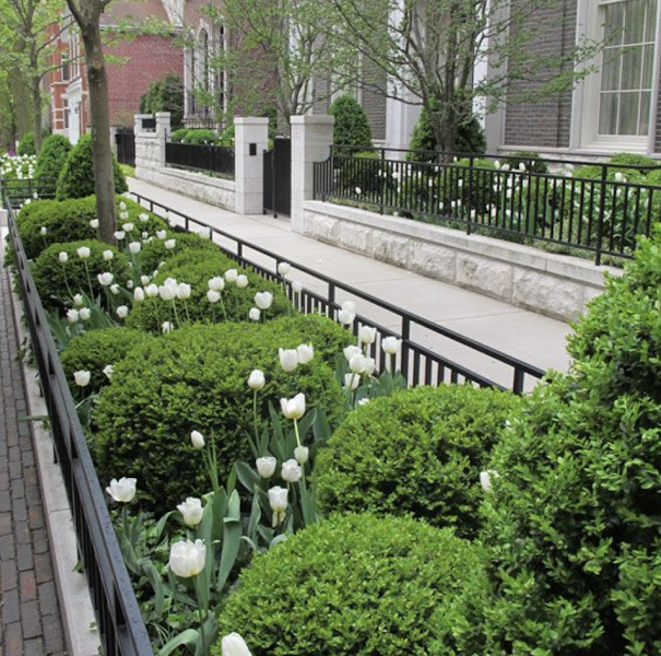 Skyline Exteriors Snow Removal - Landscaper in Chicago