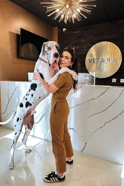 Vetique: Gold Coast & River North's Premium Veterinary Care - Veterinarian in Chicago