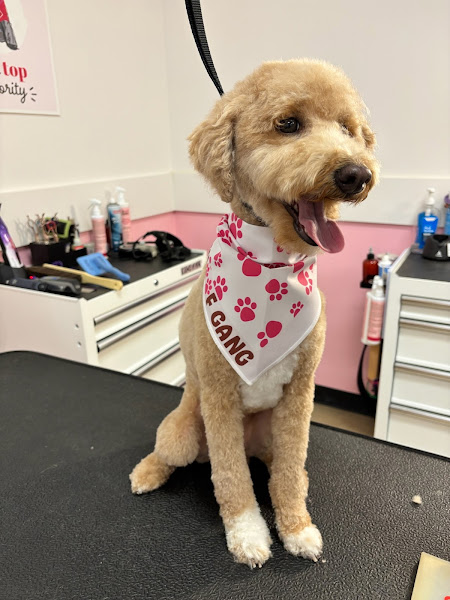 Woof Gang Bakery & Grooming Carriage Crossing