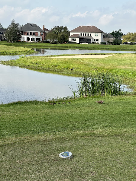 English Turn Golf & Country Club