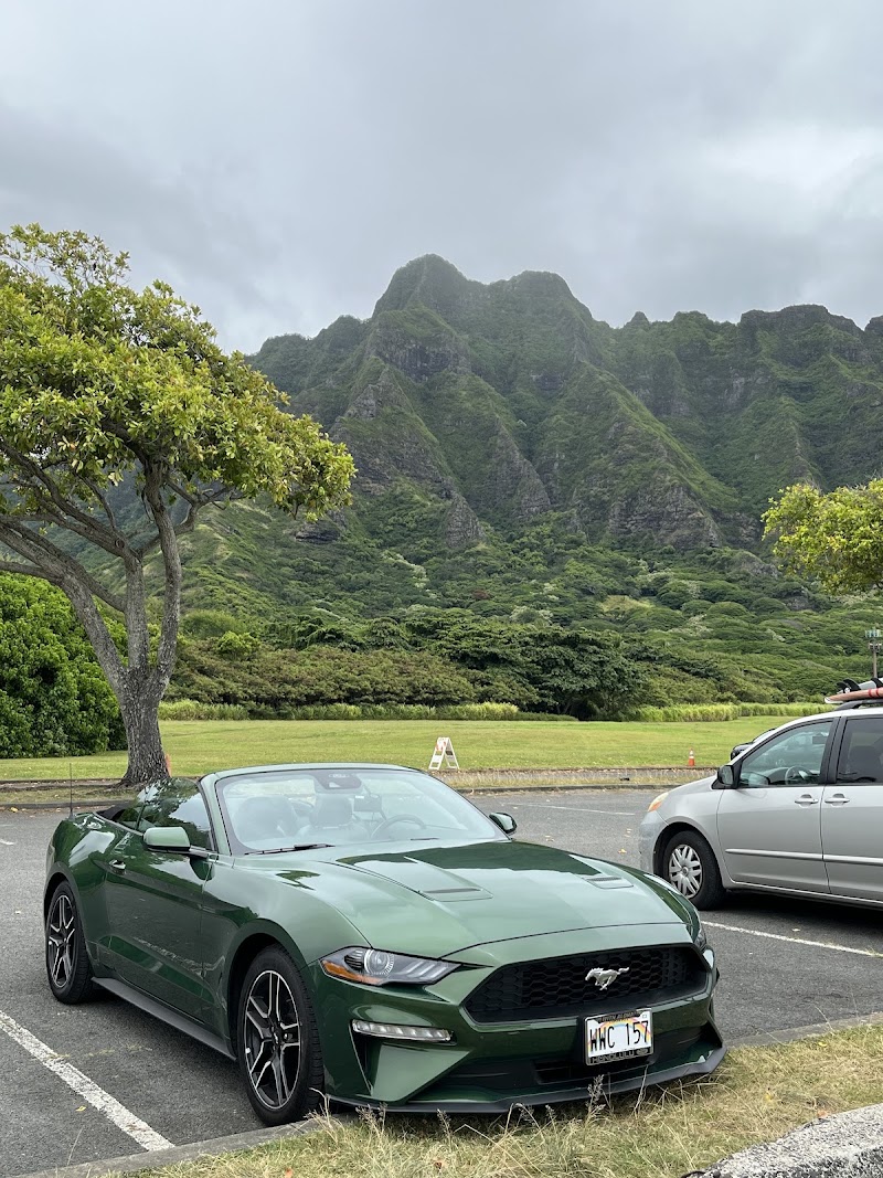 Voyage Rental Cars Embassy Suites photo