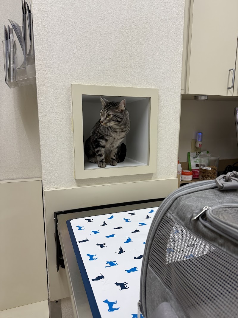 VCA Katy Trail Animal Hospital photo
