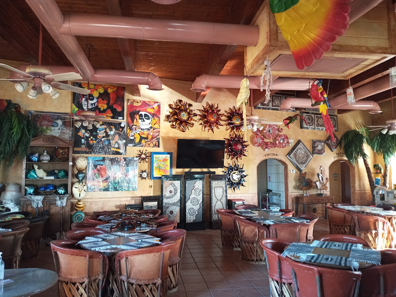Latitude 31 - American restaurant in Centro
