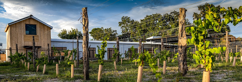 Nice Winery - Winery in Houston
