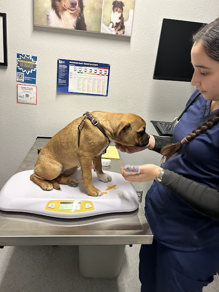 Animal Kindness Veterinary Hospital