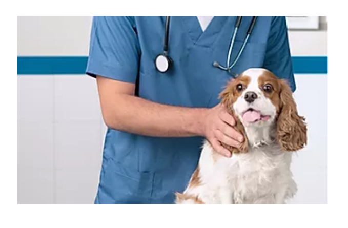 Cordova Animal Medical Center