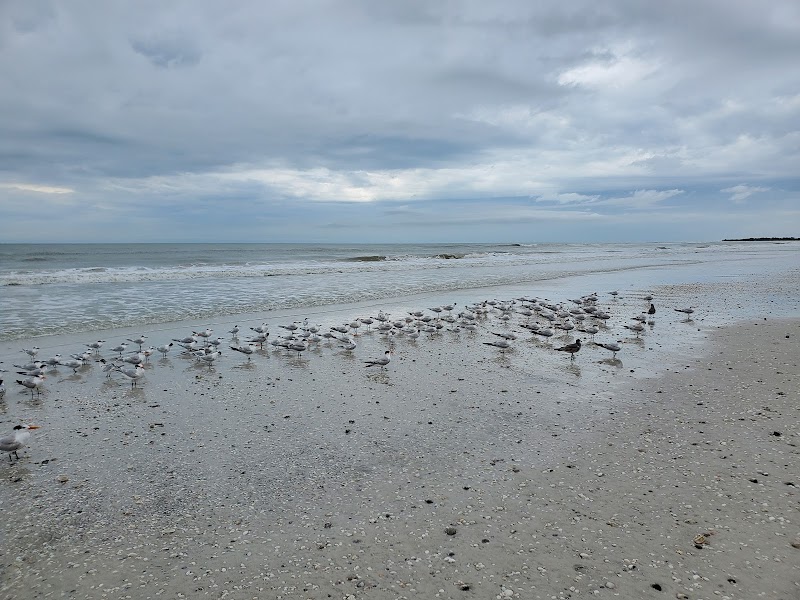 South Beach, Marco Island photo
