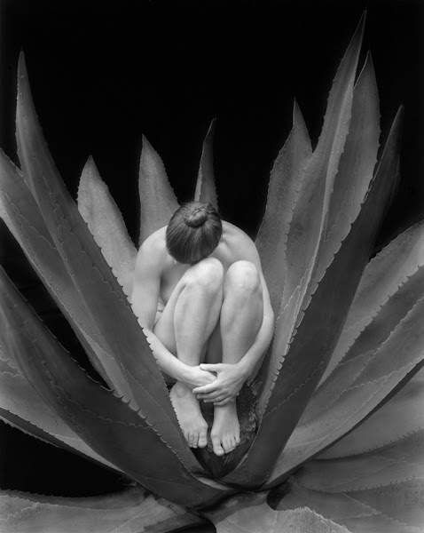 Kim Weston Photography - Photographer in Carmel-By-The-Sea