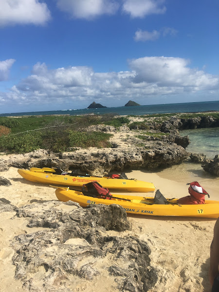 Kailua Ocean Adventures