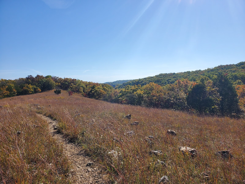 Rocky Top Trail