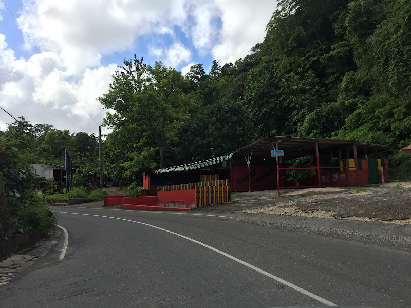Fern Gully - Tourist attraction in your area