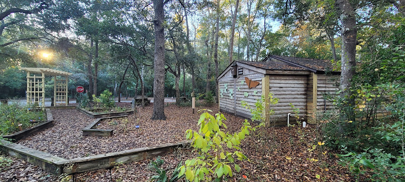 Myrtle Beach State Park Campground - Campground in SC 29577