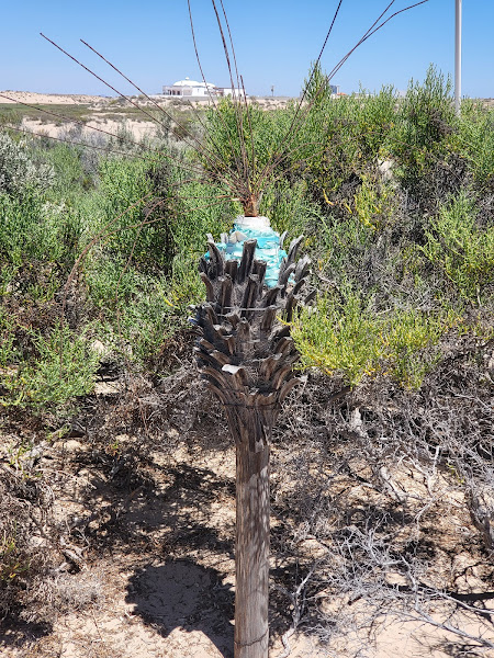 Cooperativa Punta Roja - Farm in Playa Encanto