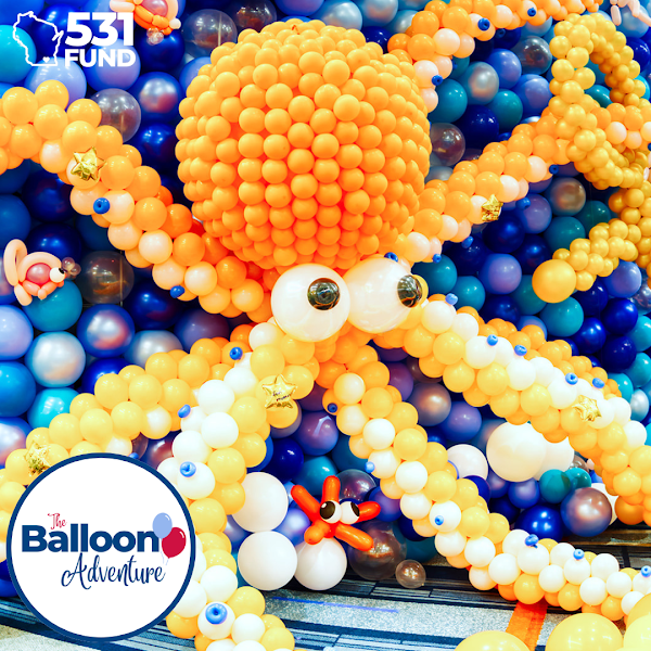 The Balloon Adventure - Tourist attraction in Williams Bay