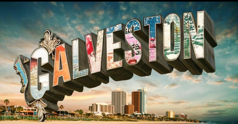 Susanna Mayberry Realtor - Real estate agency in Galveston