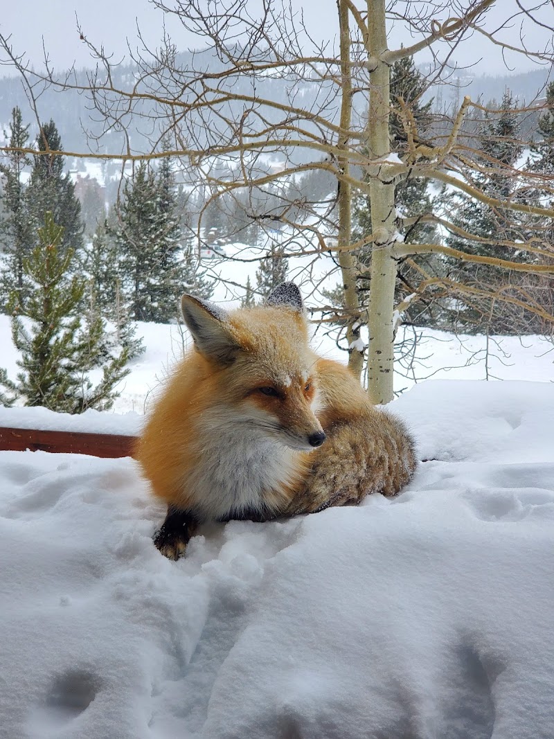 Big Sky Ski & Summer Vacation Home Rental photo