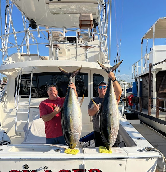 Cabo Magic Sportfishing - Fishing charter in P.º de La Marina 18