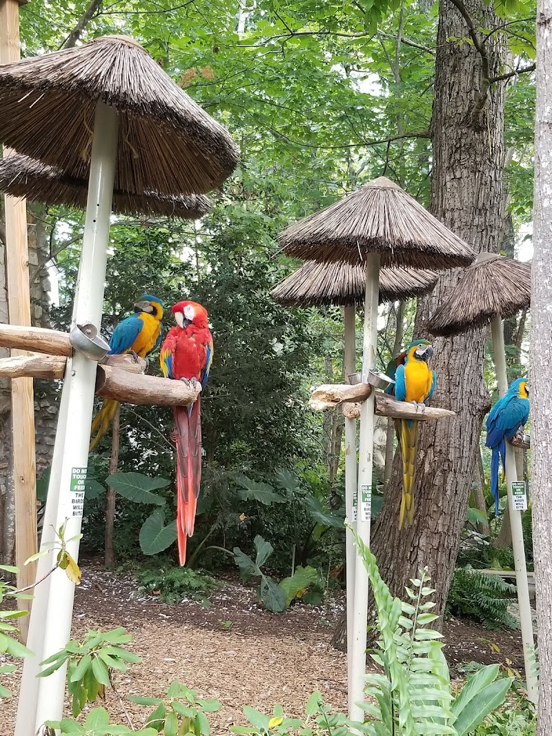 Parrot Mountain and Gardens - Tourist attraction in Pigeon Forge