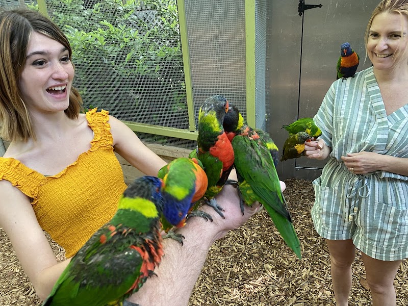 Parrot Mountain and Gardens photo