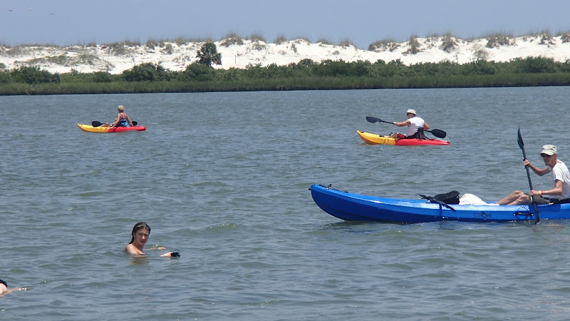 St. Augustine Paddle Sports - Bait, Tackle, Paddle Fishing - Canoe & kayak store in St. Augustine