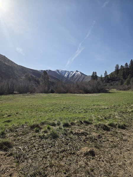 Cottonwood Campground