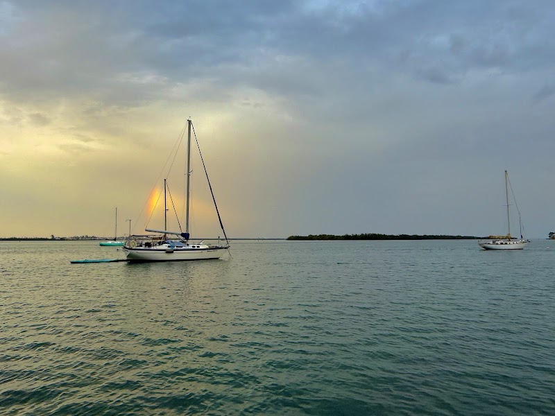 Anna Maria Island Adventures Boat Tours - Boat tour agency in Holmes Beach