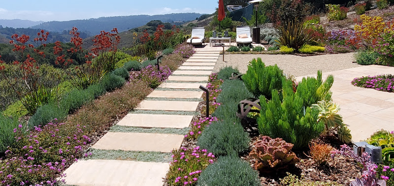 Carmel Point Landscapes - Landscape designer in Carmel-By-The-Sea