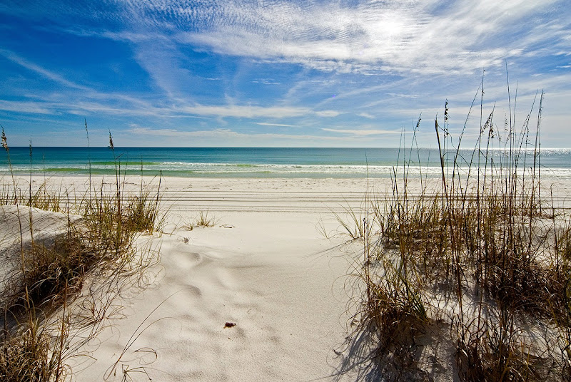 Integrity Financial Group - Financial planner in Destin