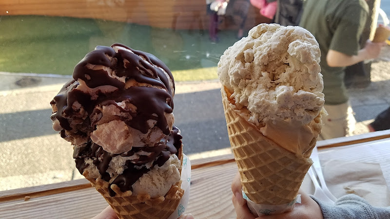 Molly Moon's Homemade Ice Cream Wallingford