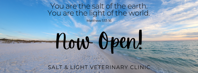 Salt and Light Veterinary Clinic - Veterinarian in Santa Rosa Beach